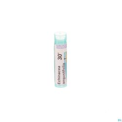 Echinacea Angustifolia 30K Gr 4G Boiron