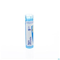 Sepia Officinalis 9Ch Gr 4G Boiron