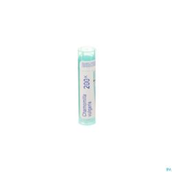 Chamomilla Vulgaris 200K Gr 4G Boiron