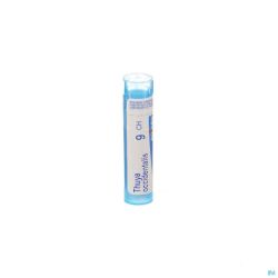 Thuya Occidentalis Boiron 9CH Streukügelchen 4 g