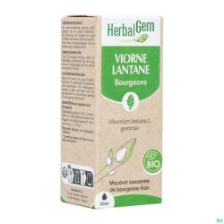 Herbalgem Viorne Bio 30Ml