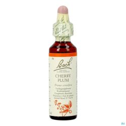 Bach Flower Remedie 06 Cherry Plum 20ml