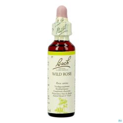 Bach Flower Remedie 37 Wild Rose 20ml