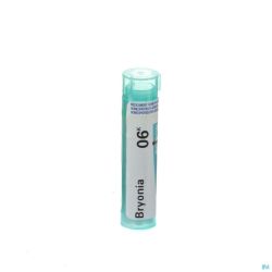 Bryonia 6k Gr 4g Boiron