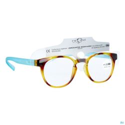 Cartel Lunettes Lecture Kiss 1 Asie