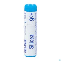 Silicea 9Ch Gl Boiron