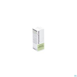 Geranium Egypte Hle Ess 10Ml Pranarom