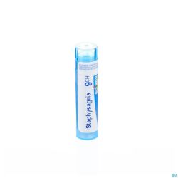 Staphysagria 9Ch Gr 4G Boiron