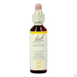 Bach Flower Remedie 12 Gentian 20ml