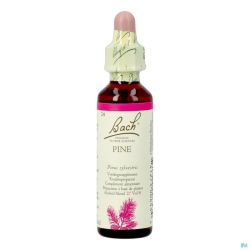 Bach Flower Remedie 24 Pine 20ml