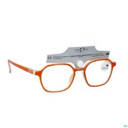 Cartel Lunettes Lecture Divine 1.5 Asie
