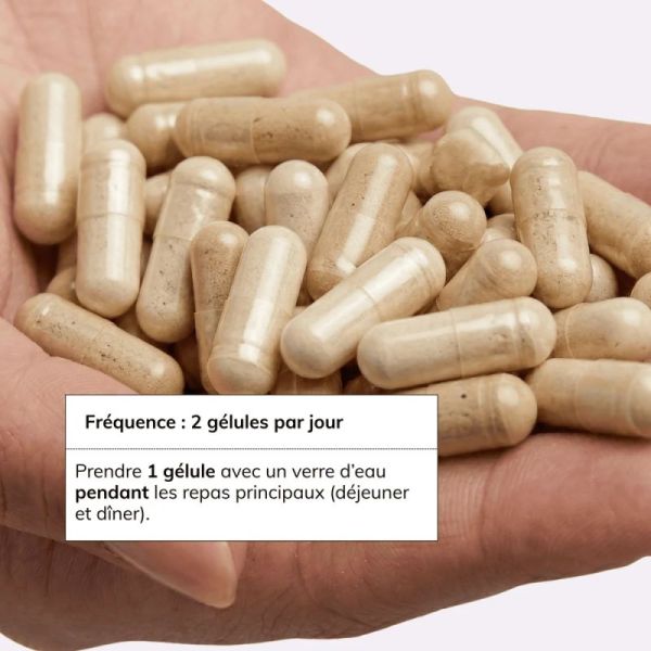 Owari Stop Sucre 30 Gélules