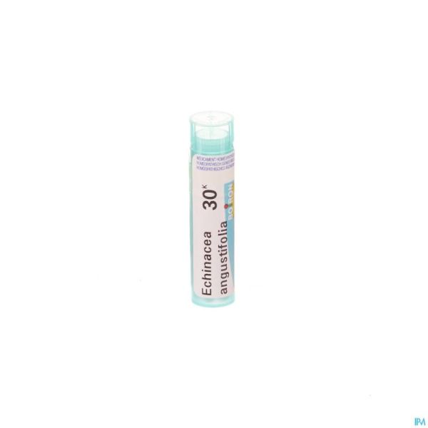 Echinacea Angustifolia 30K Gr 4G Boiron