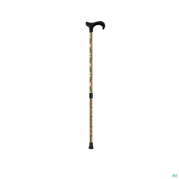 Sanico Canne Marche Derby Fleurs Mq 529