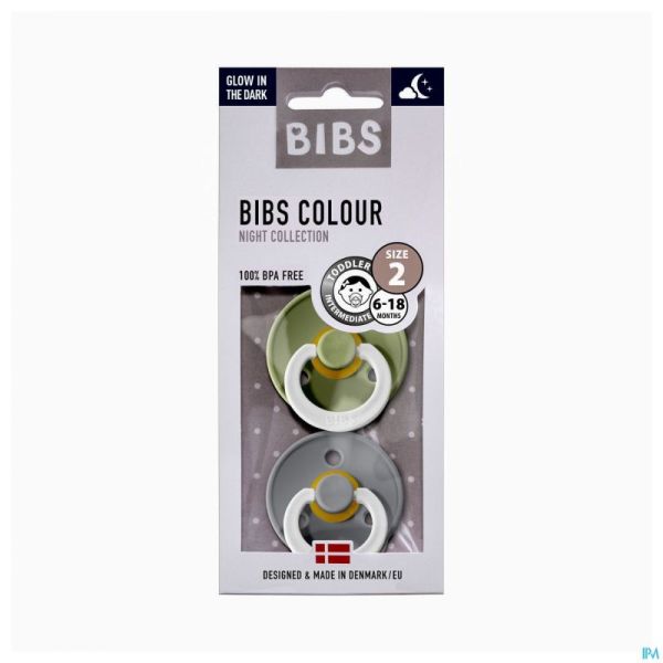 Bibs 2 Sucette Duo Glowindark Sage/Cloud 2