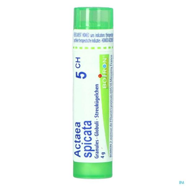 Actea Spicata Boiron 5CH Streukügelchen 4 g