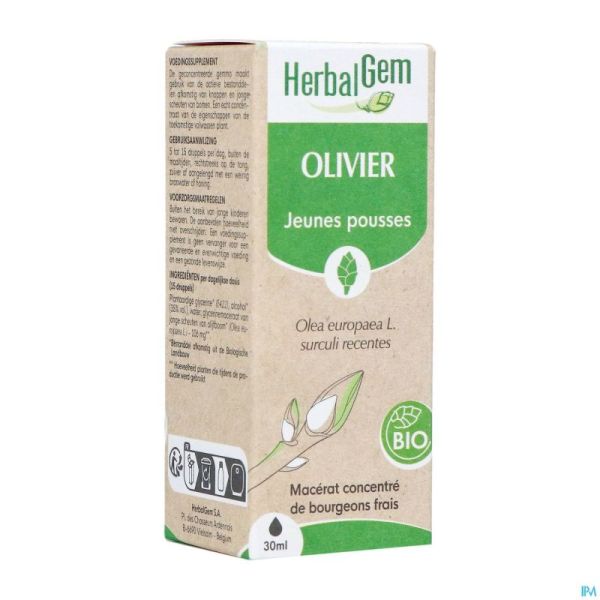 Herbalgem Olivier Bio 30Ml